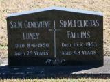 image of grave number 667871
